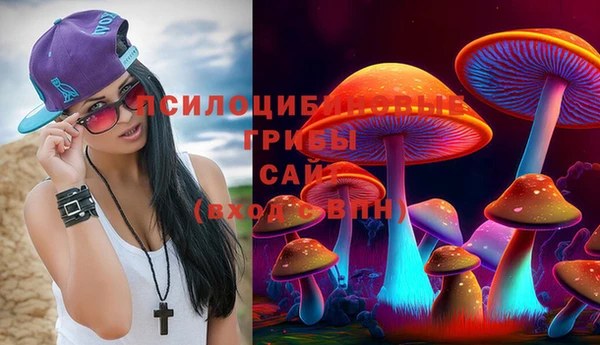 бутират Баксан